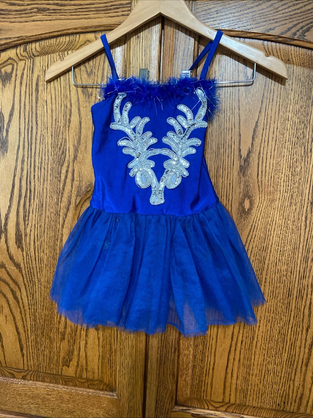Royal Blue Girls' Tulle Dance Costume with Silver Sequin Applique
